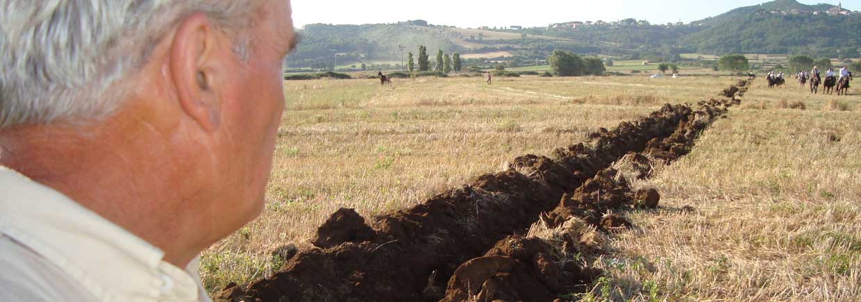 Valentano (VT) Tiratura del solco dritto foto Ballacchino