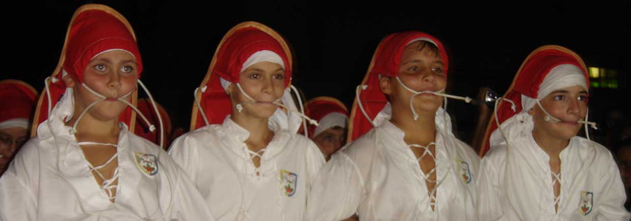 Viterbo Festa di S. Rosa - Minifacchini - foto Broccolini