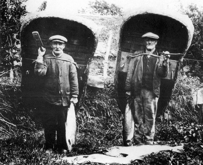 Cilgerran coracle-men William Johnson and John Morgan with their haul of fish, 1905 Cilgerran coracle-men William Johnson and John Morgan with their haul of fish, 1905